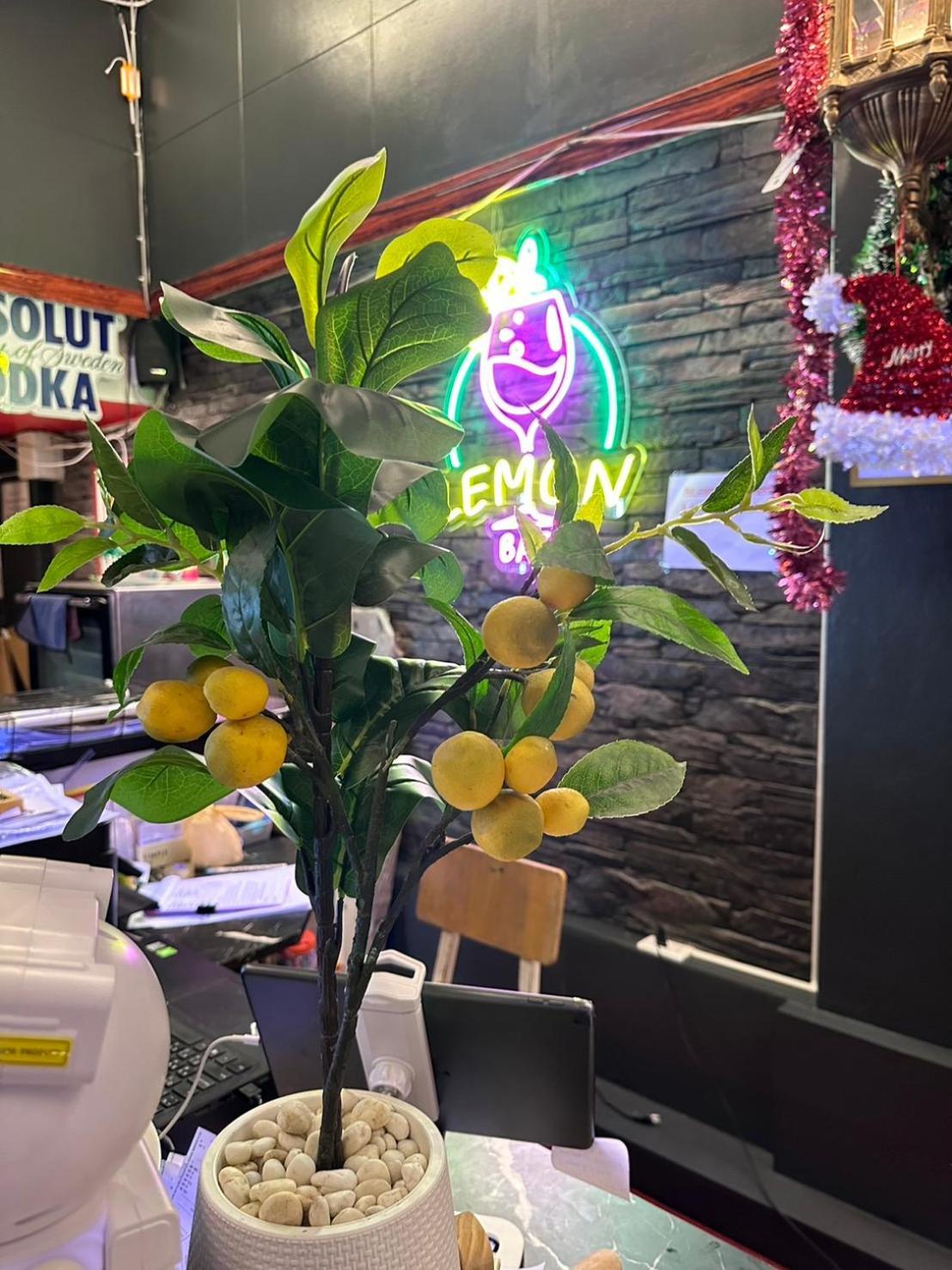 צ'יאנג מאי Lemonap Hostel מראה חיצוני תמונה